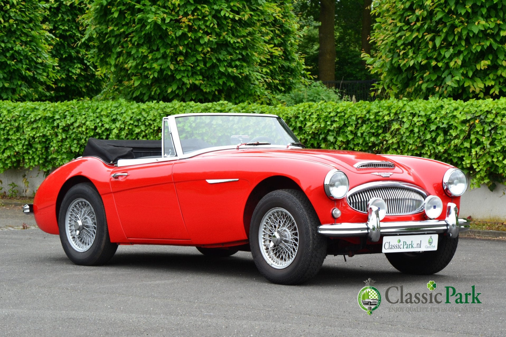 Austin Healey 3000 MK II A (bj 1962), foto 7