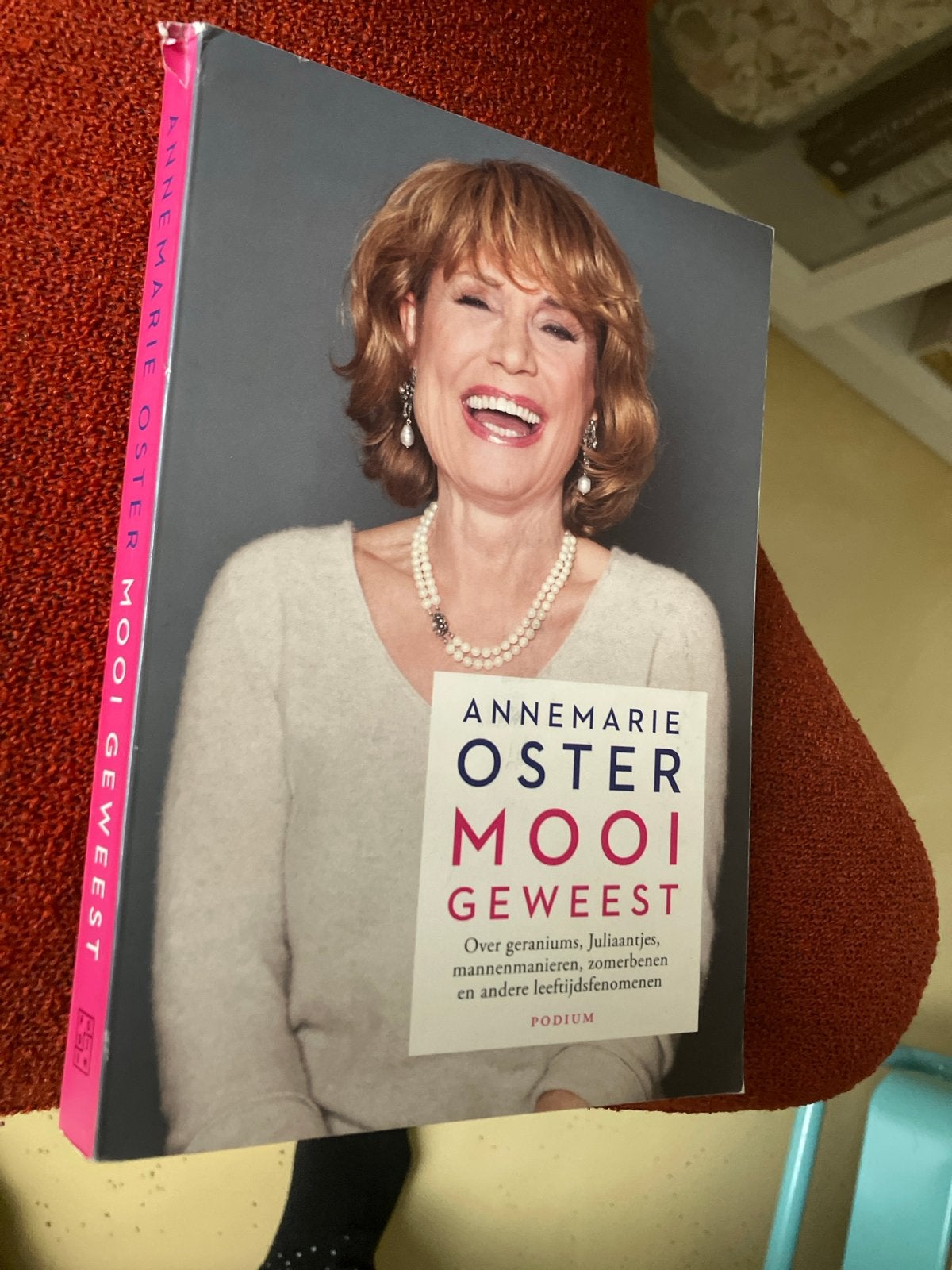 Annemarie Oster - Mooi Geweest (Boek), Ophalen of Verzenden, Gelezen, Nederland