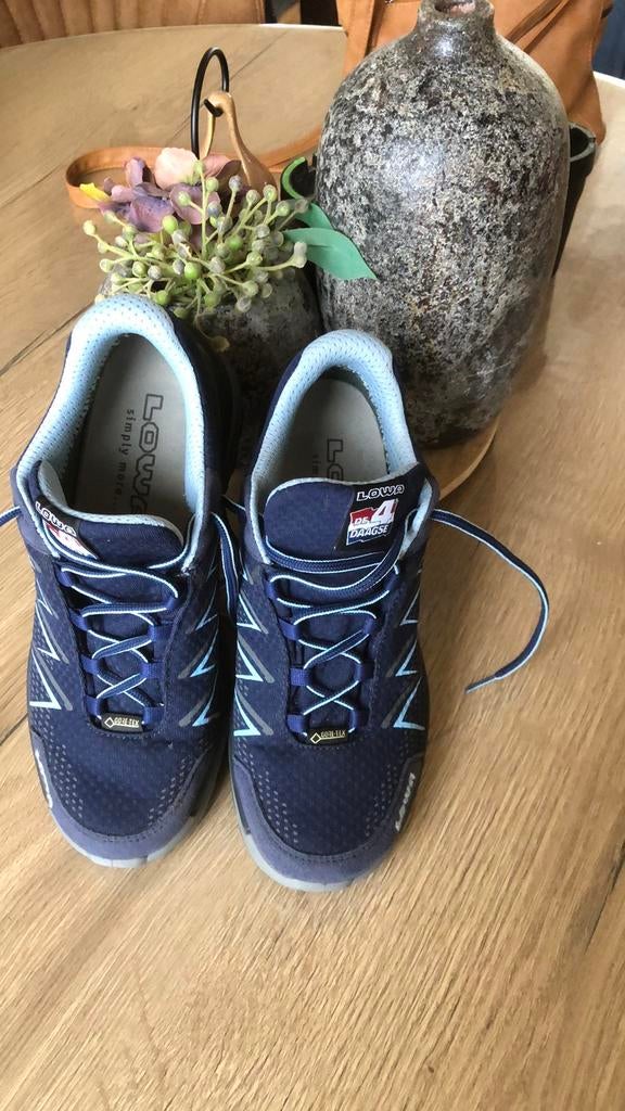 Nieuwe wandelschoenen, Sport en Fitness, Bergsport en Wandelen, Ophalen of Verzenden, Nieuw, Schoenen