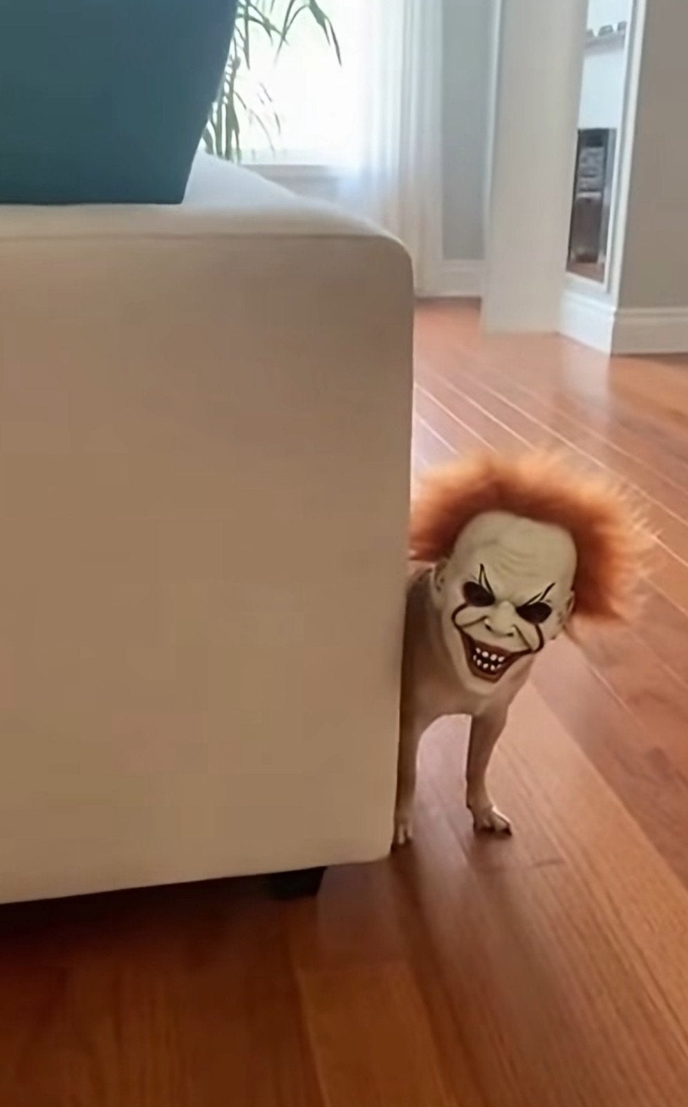 Scary Clown Masker, Nieuw, Verzenden, Nieuw