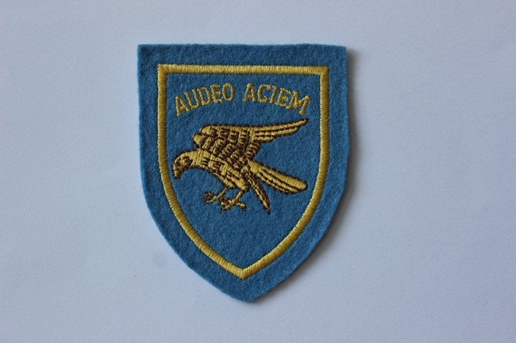 patch  1  wing  audeo  aciem  bevekom ab  belgium, Verzenden, Luchtmacht, Overige gebieden, Embleem of Badge