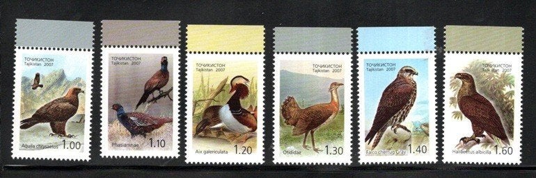 VOGELS POSTFRISSE ZEGELS. Jaar 2007; Tajikistan, Ophalen of Verzenden, Postfris, Dier of Natuur