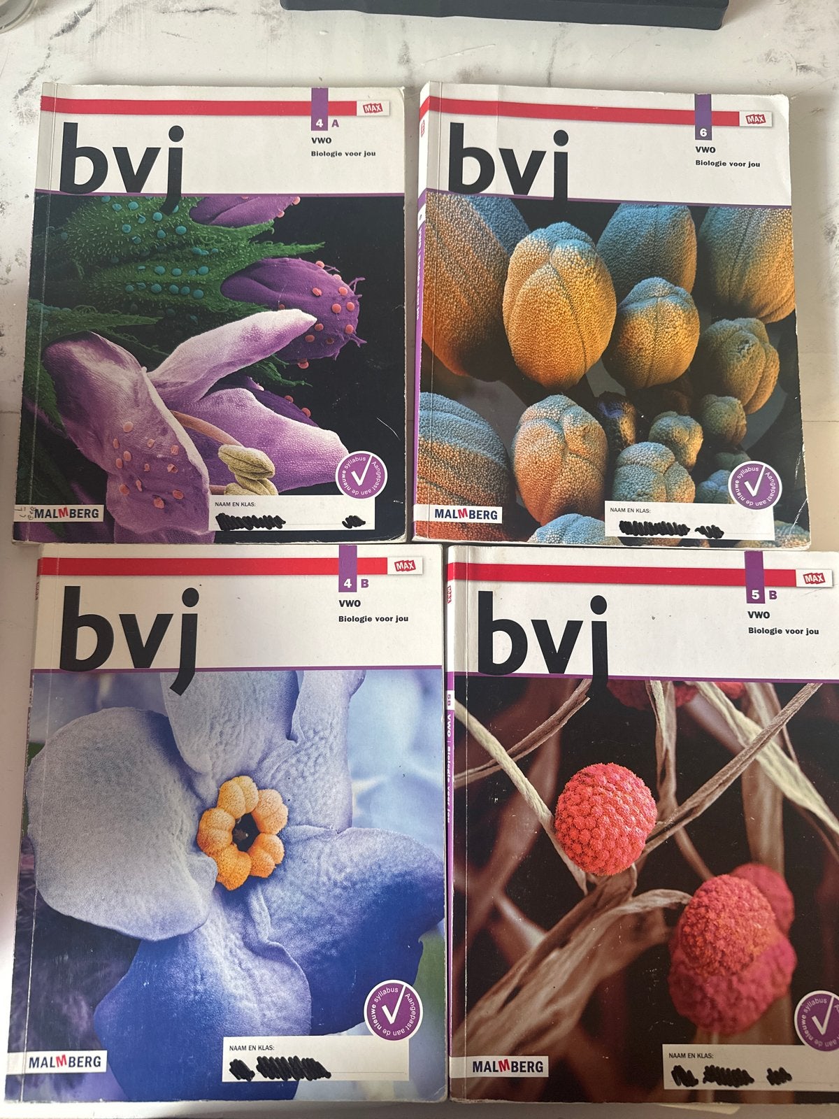 BVI Biologie voor jou VWO boeken (4A, 4B, 5B, 6), Ophalen of Verzenden, Gelezen, VWO, Biologie