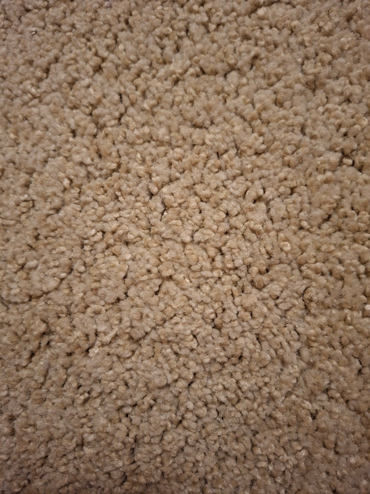 Mooi net vloerkleed, Ophalen, Beige, 150 tot 200 cm, 200 cm of meer