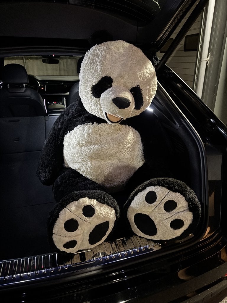 Grote panda knuffel 150 cm, Ophalen, Overige merken, Beer, Zo goed als nieuw