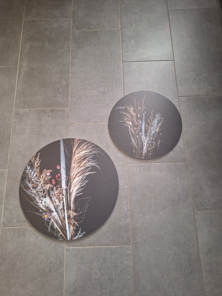 Ronde schilderijen d 50 en d 40, Ophalen, Zo goed als nieuw, Minder dan 50 cm, Schilderij