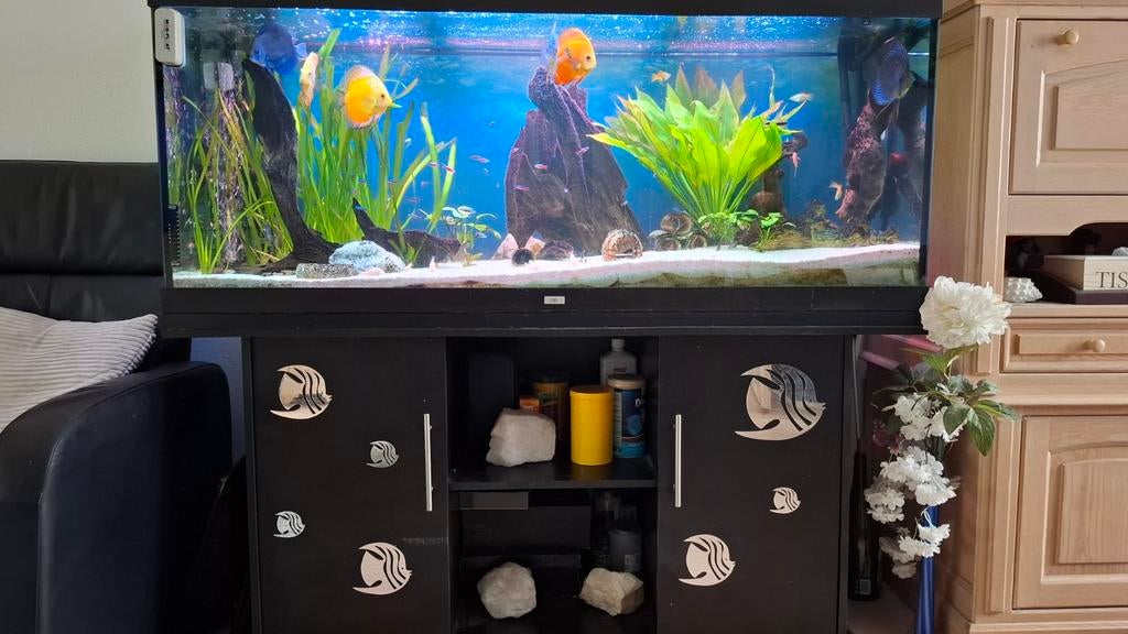 Juwel aquarium, Dieren en Toebehoren, Vissen | Aquaria en Toebehoren, Ophalen
