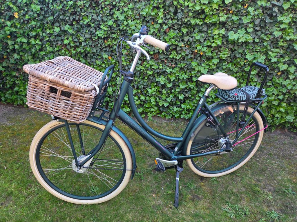Batavus Diva Damesfiets Groen - 7 Versnellingen, Fietsen en Brommers, Fietsen | Dames | Damesfietsen, Ophalen, Zo goed als nieuw