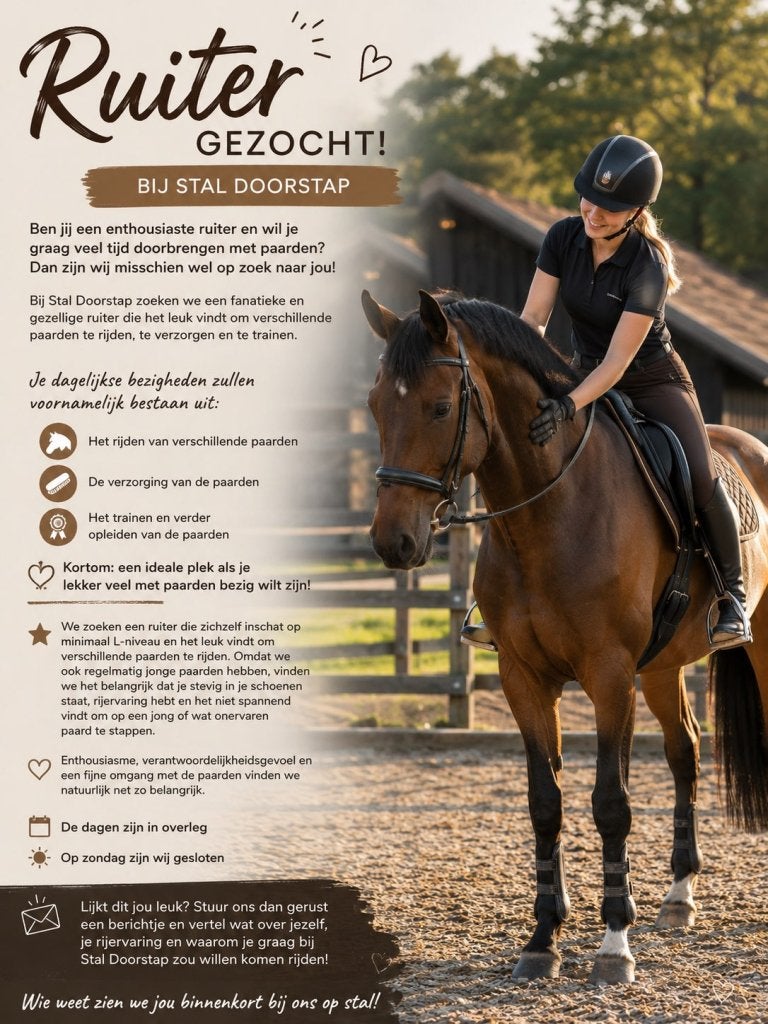 Ruiter gezocht!, Verzorging of Verzorgpony's