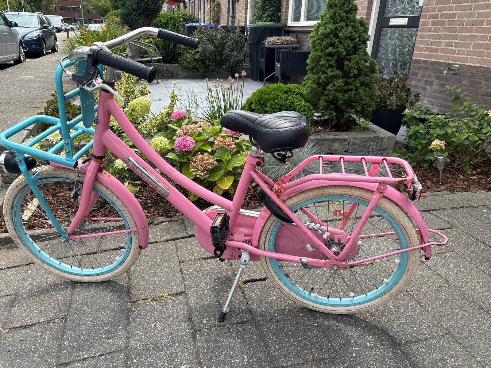 Roze kinderfiets 20 inch met voordrager, Ophalen, Gebruikt, 20 inch of meer