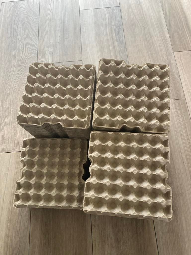 Lege trays van eieren voor papier maché, Ophalen