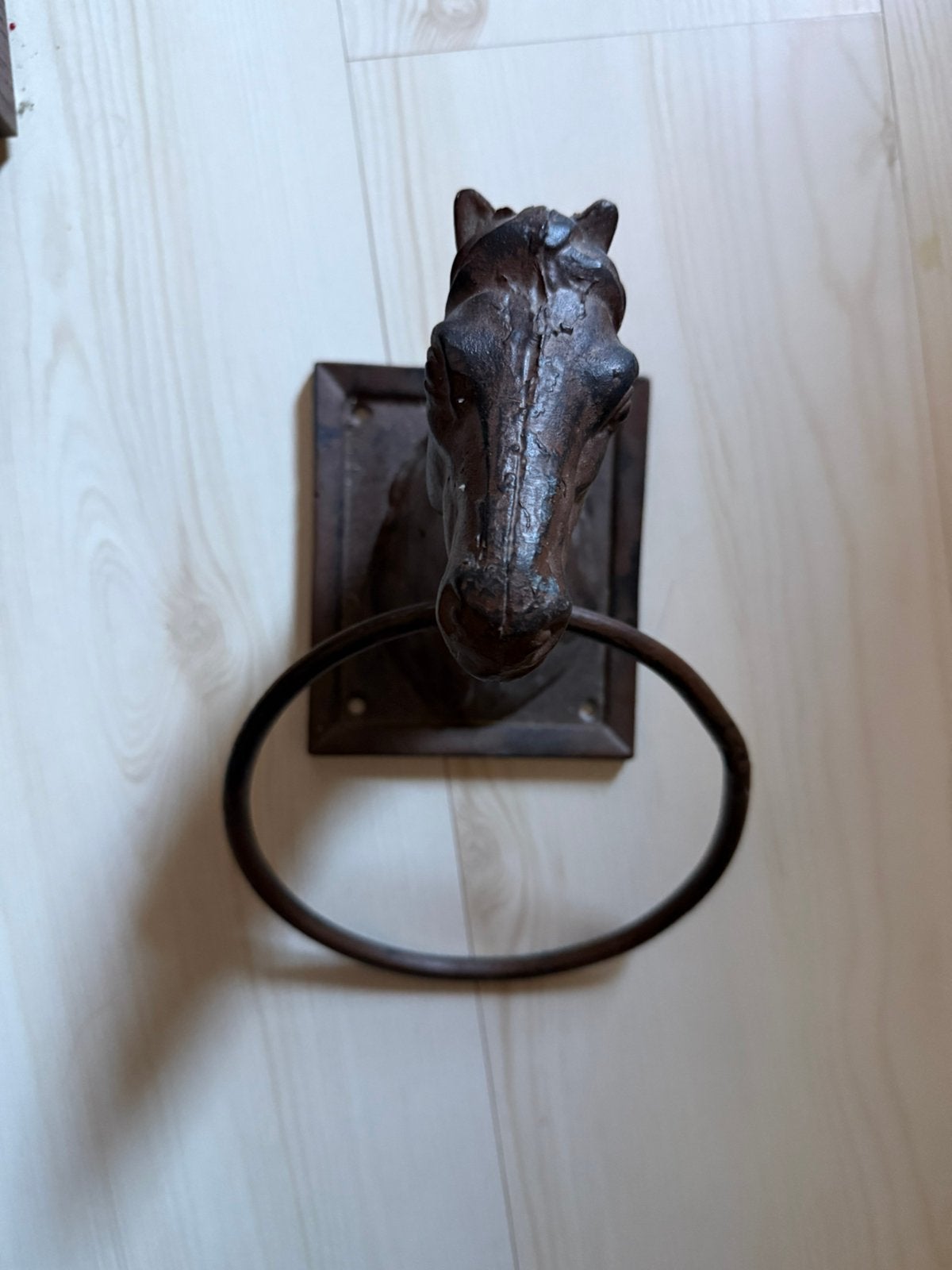 Gietijzeren paardenhoofd met grote ring (handdoekhouder), Antiek en Kunst, Ophalen of Verzenden, Metaal, Wanddecoratie, Bruin