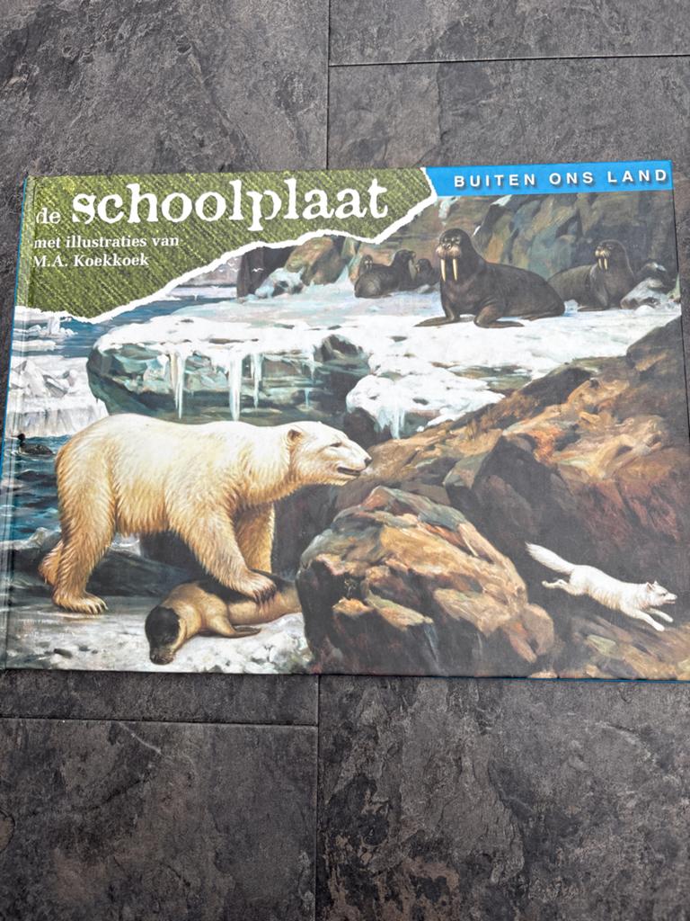 De Schoolplaat - Buiten ons land (M.A. Koekkoek), Ophalen of Verzenden, Zo goed als nieuw
