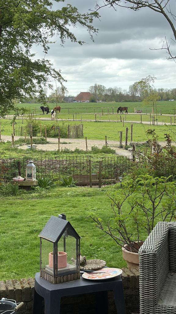Opleidingslocatie paardencoaching equine opleidingen