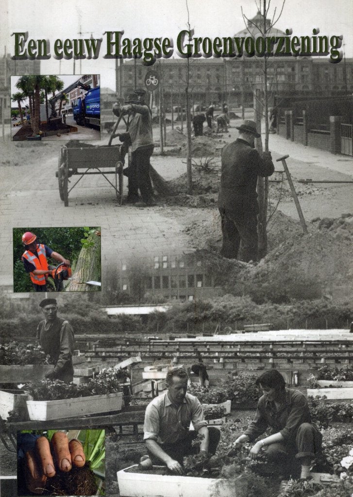 Een Eeuw Haagse Groenvoorziening - Rabin S. Baldewsingh BOEK, Ophalen of Verzenden, Gelezen, Rabin S. Baldewsingh