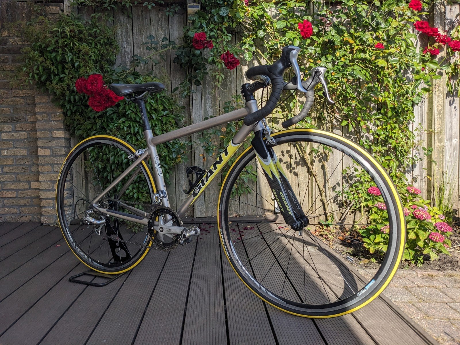 Giant TCR Aluxx SL racefiets, Ophalen, 28 inch, Gebruikt, Velgrem