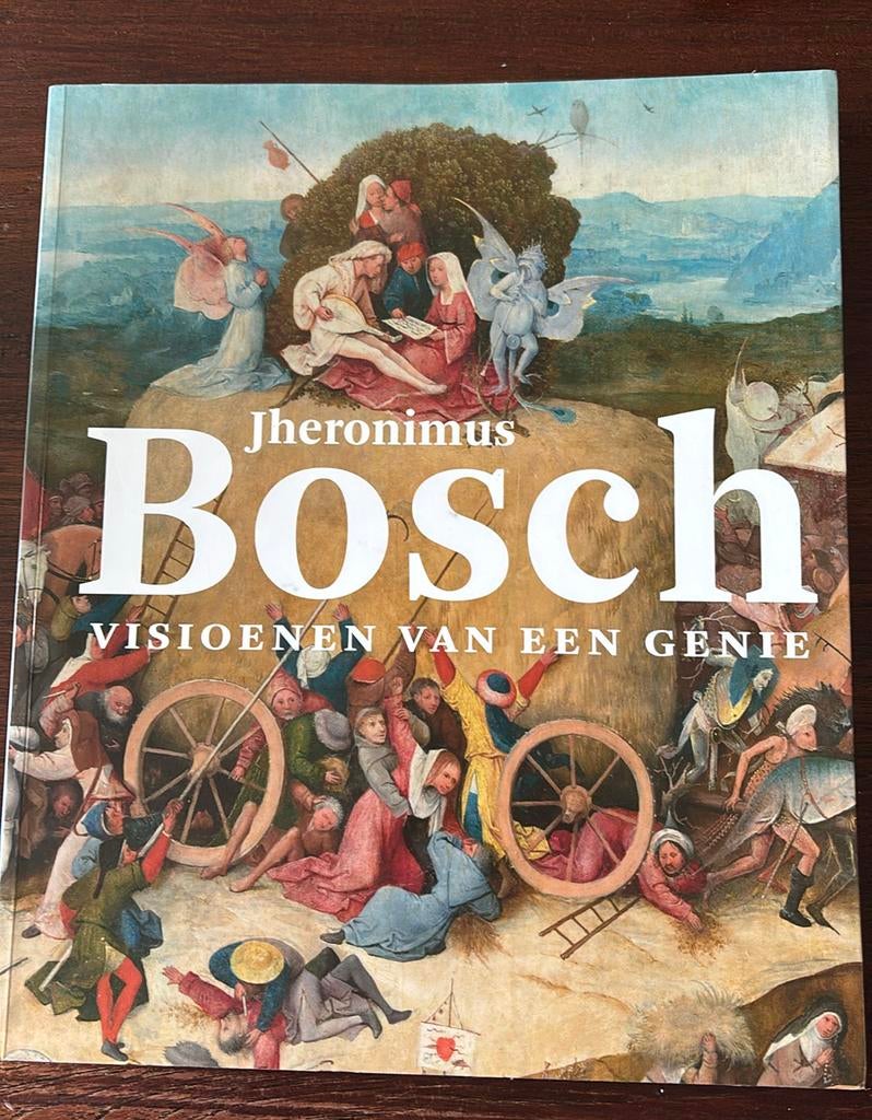 Matthijs Ilsinck - Jheronimus Bosch Visioenen van een genie, Ophalen of Verzenden, Zo goed als nieuw, Matthijs Ilsinck; Jos Koldeweij