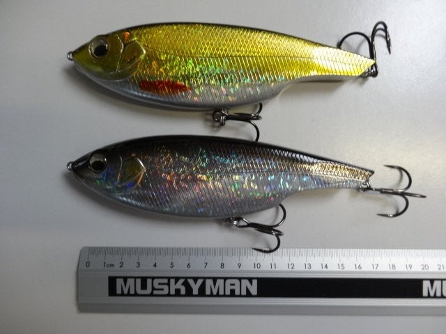 Kunstaas: Sébile Lipless Glider 170 Sinking Jerkbaits, Watersport en Boten, Hengelsport | Roofvissen, Verzenden, Gebruikt, Overige typen