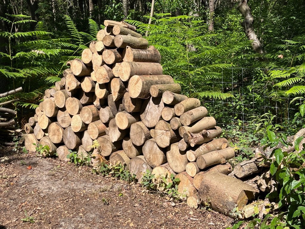 Haardhout blokken Esdoorn, Tuin en Terras, Haardhout, Minder dan 3 m³, Ophalen, Overige houtsoorten, Blokken