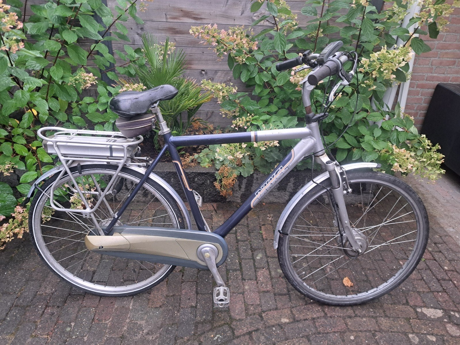 Bikkel elektrische fiets (opknapper), Ophalen, Gebruikt, Overige merken
