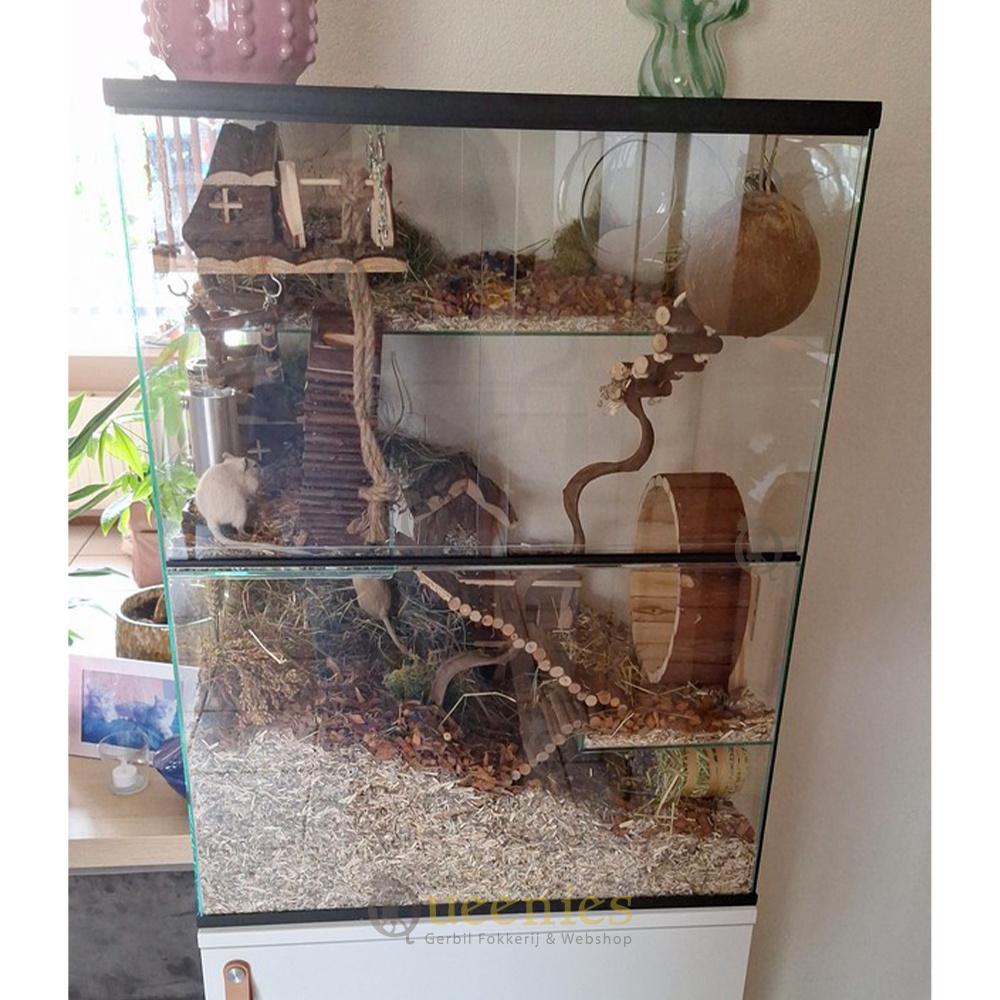 Ruime gerbil kooi 60x40x80 aanbieding €149,95, 60 tot 90 cm, Ophalen of Verzenden, Hok, Minder dan 75 cm