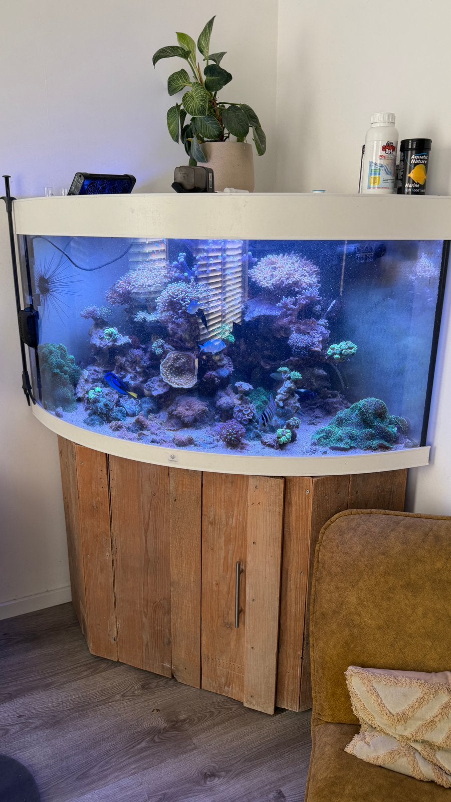 Hoekaquarium, Ophalen, Gebruikt, Leeg aquarium