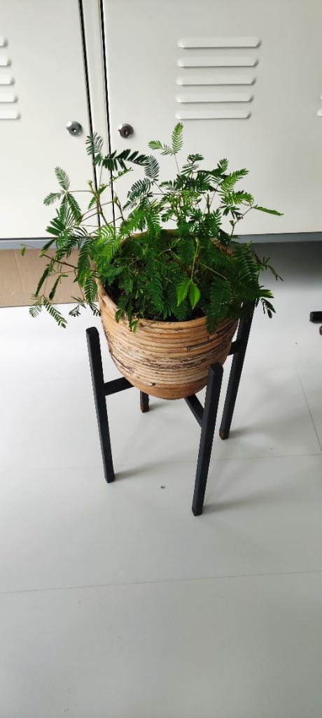 Metalen plantenstandaard antraciet diameter 20cm, Ophalen of Verzenden, Gebruikt