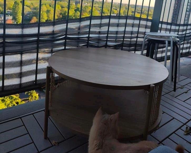 Jysk Salontafel - MOET WEG, Ophalen, Gebruikt, Rond, 50 tot 100 cm