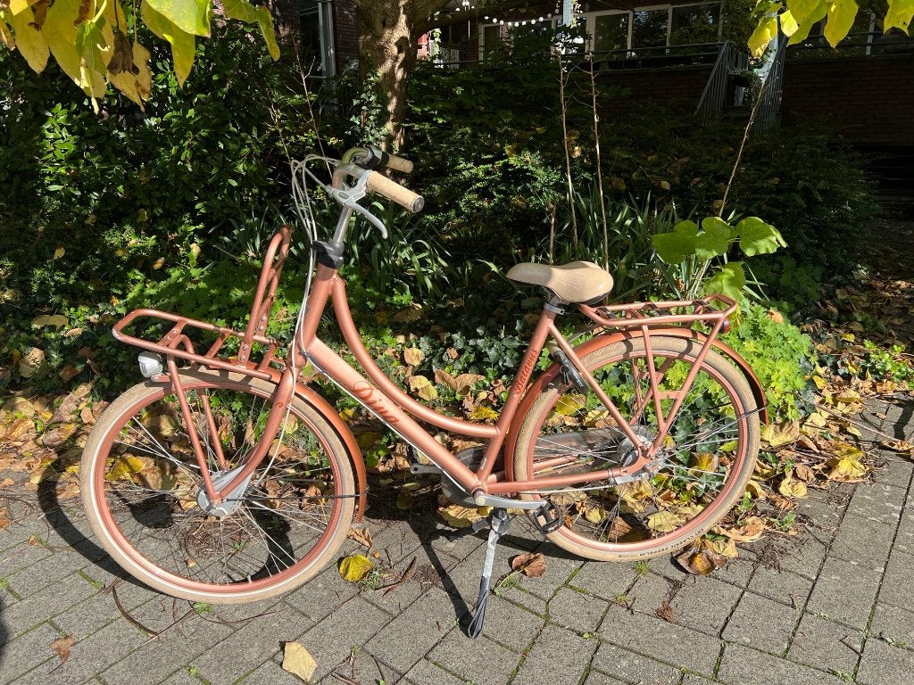Rose Batavus Diva transportfiets, Ophalen, Versnellingen, Batavus, Schijfrem