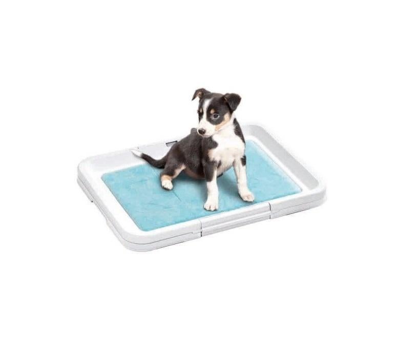 Puppy Trainers Trainingsmatten pads zindelijkheidsmatjes, Ophalen of Verzenden, Nieuw