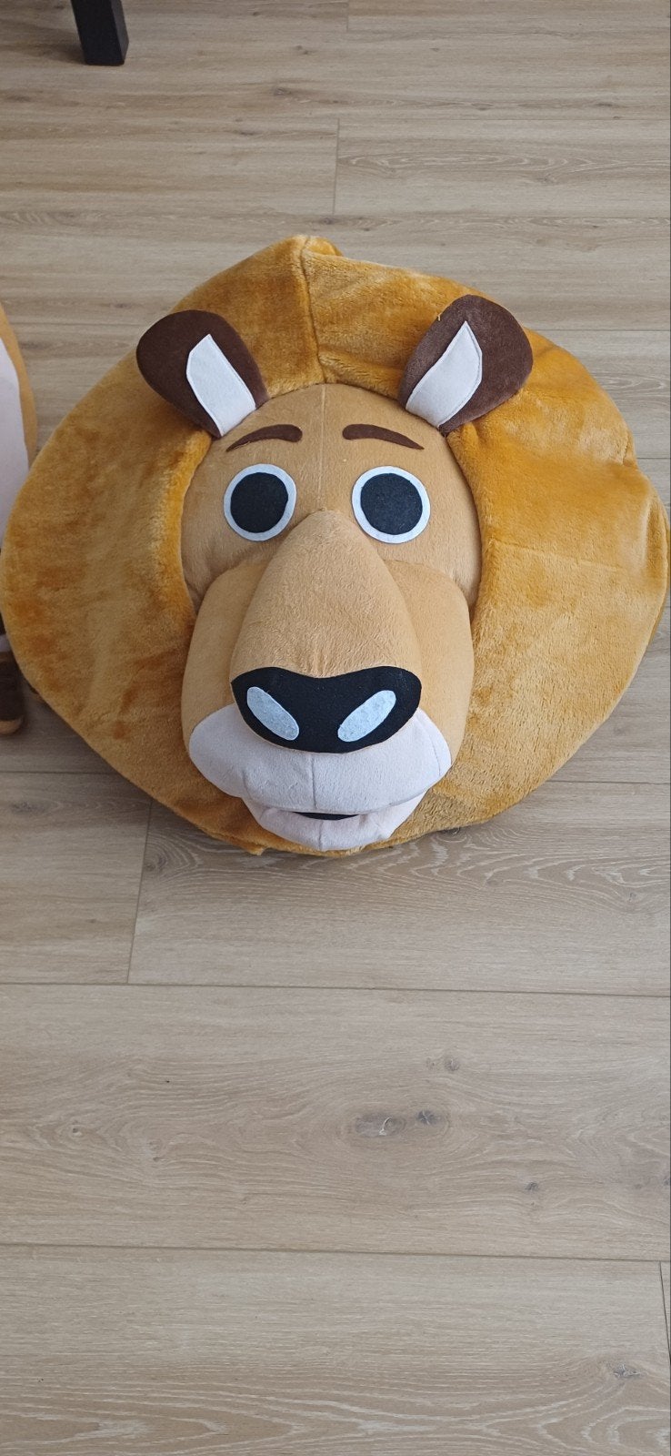 Dierenkostuums: Leeuw, Giraffe, Ophalen of Verzenden, Gebruikt, Pak of Jurk