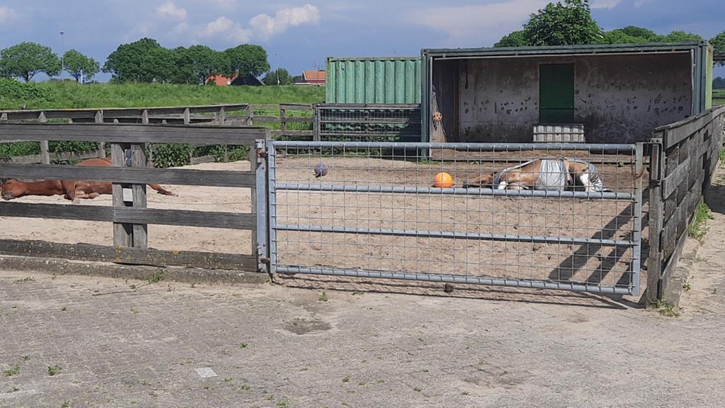 24/7 buiten stalling aangeboden Nederhorst den berg, Stalling