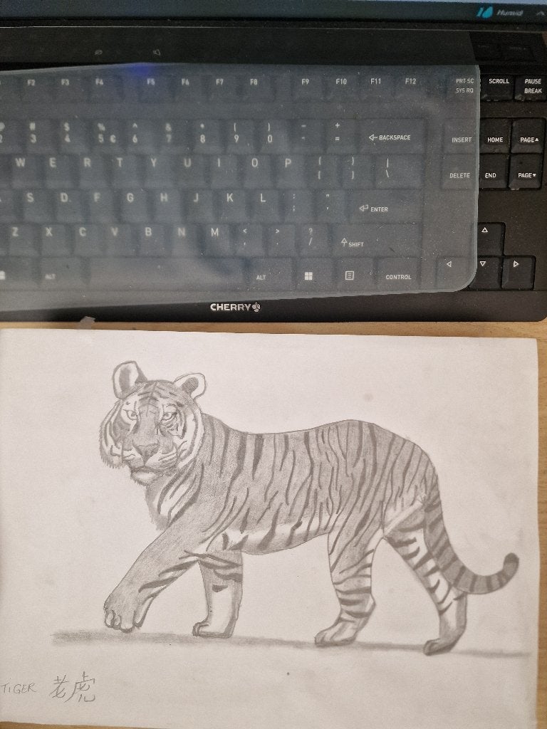 mooie tekening getekend en geschetst., Ophalen
