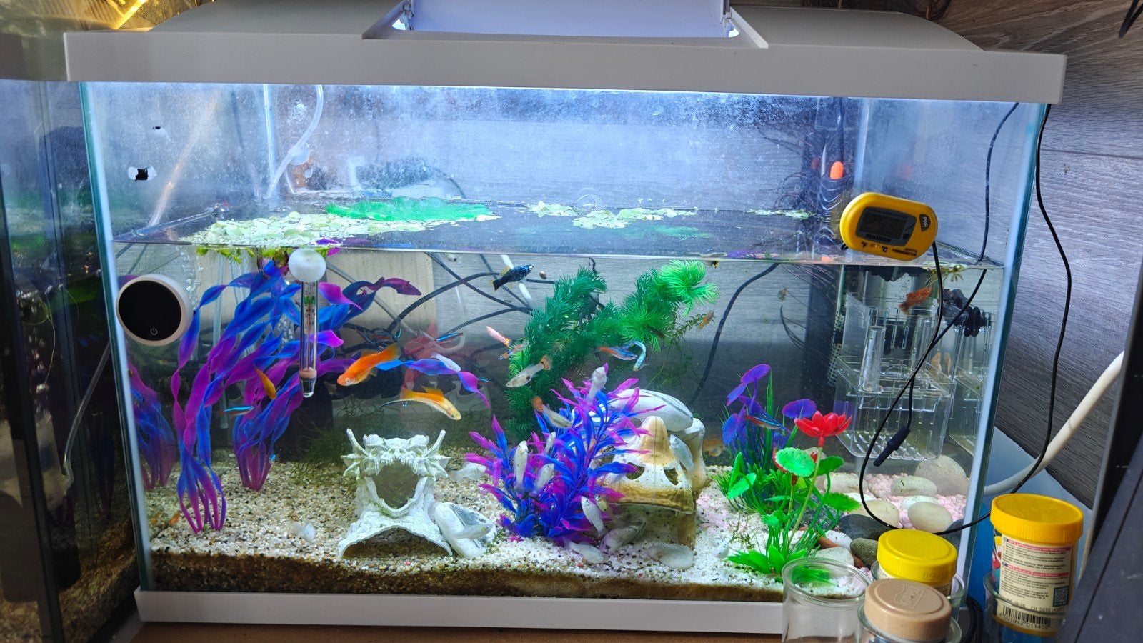 Aquarian with fishes with filler no stone and some plants, Ophalen, Nieuw, Leeg aquarium
