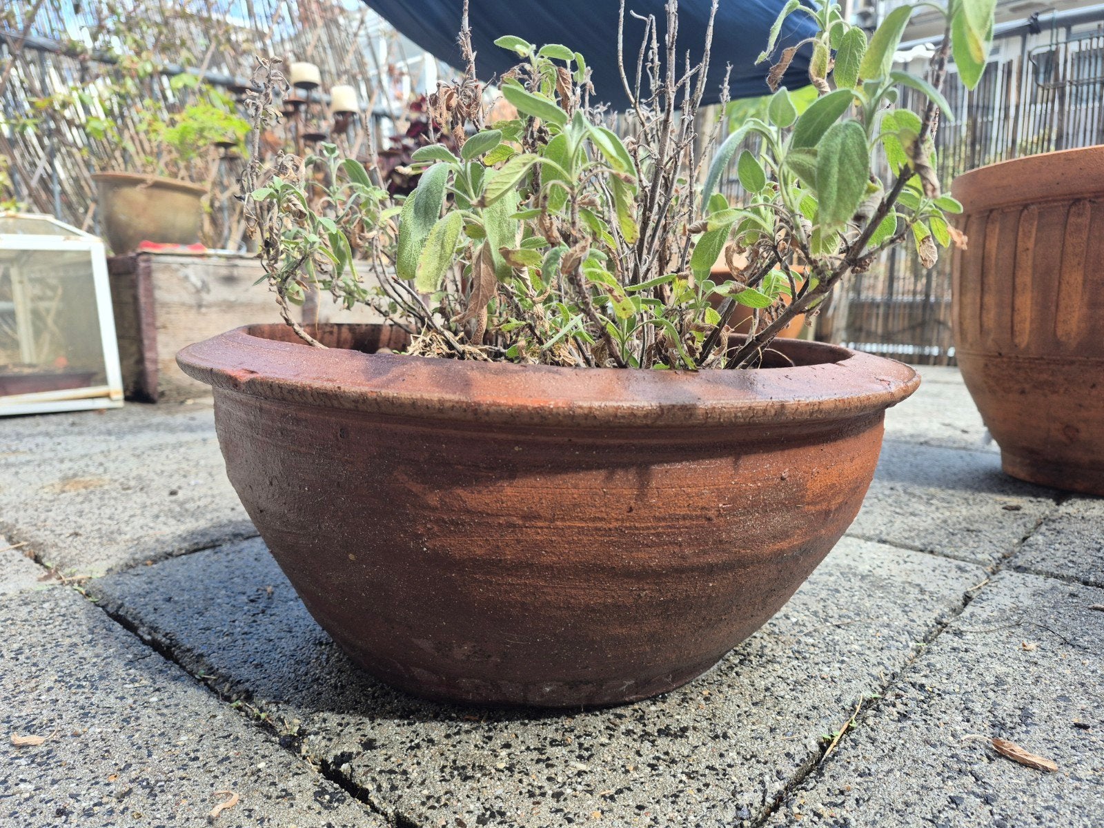 Terracotta bloempot - exclusief plant, Tuin en Terras, Bloembakken en Plantenbakken, Ophalen, Overige materialen, Gebruikt, Minder dan 30 cm