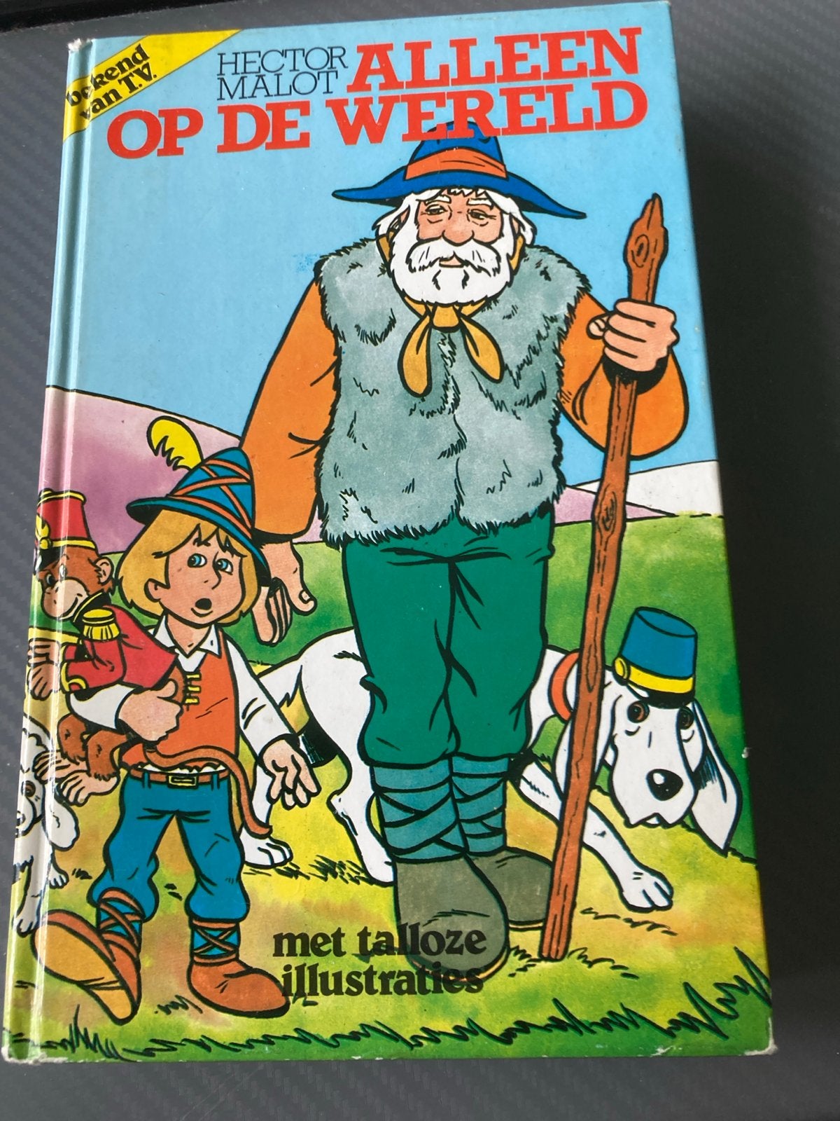 Alleen op de Wereld - Hector Malot (Geïllustreerd), Ophalen of Verzenden, Gelezen, Fictie algemeen