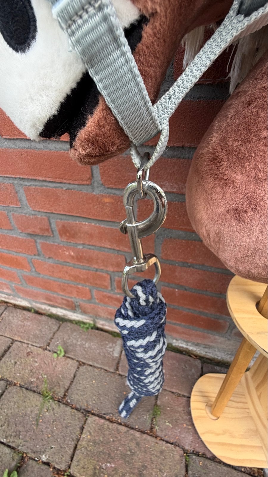 Halster voor stokpaard, Kinderen en Baby's, Ophalen of Verzenden, Zo goed als nieuw, Jongen of Meisje