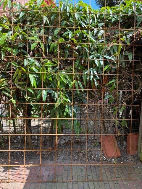 Bouwstaalmat voor Tuinscherm 2mx1.35m, Ophalen, 1 tot 2 meter, Minder dan 3 meter, Nieuw
