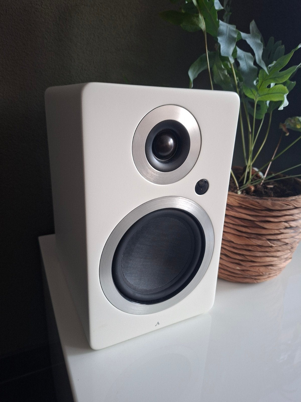 Argon forte a5 MK1  active speakers, Ophalen of Verzenden, 60 tot 120 watt, Overige merken