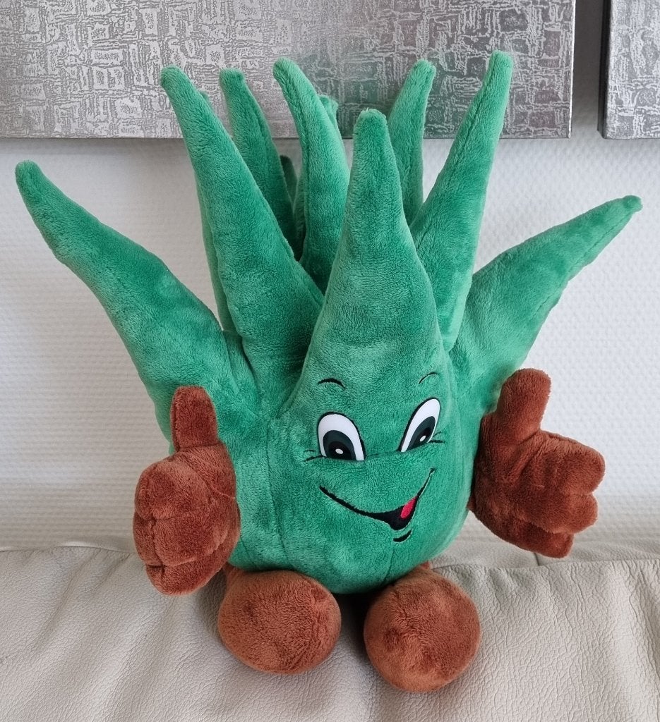 Grote Aloe Vera plant knuffel (Nieuw), Verzenden, Nieuw, Overige typen, Middelgroot (20 tot 80 cm)