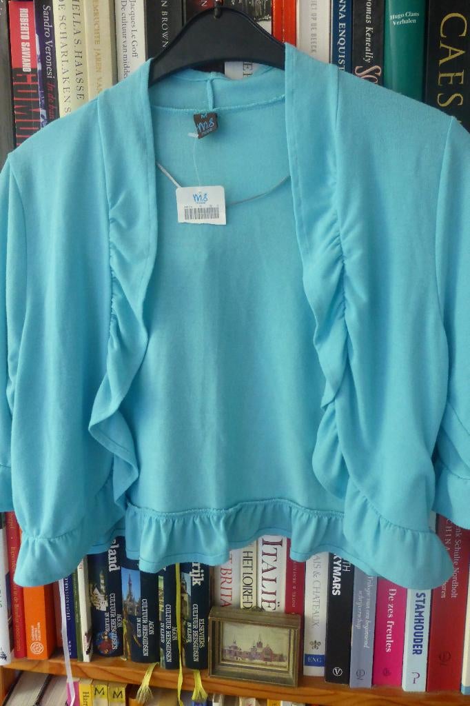 Leuke nieuwe bolero, Kleding | Dames, Maat 38/40 (M), Blauw, Nieuw, Ophalen of Verzenden