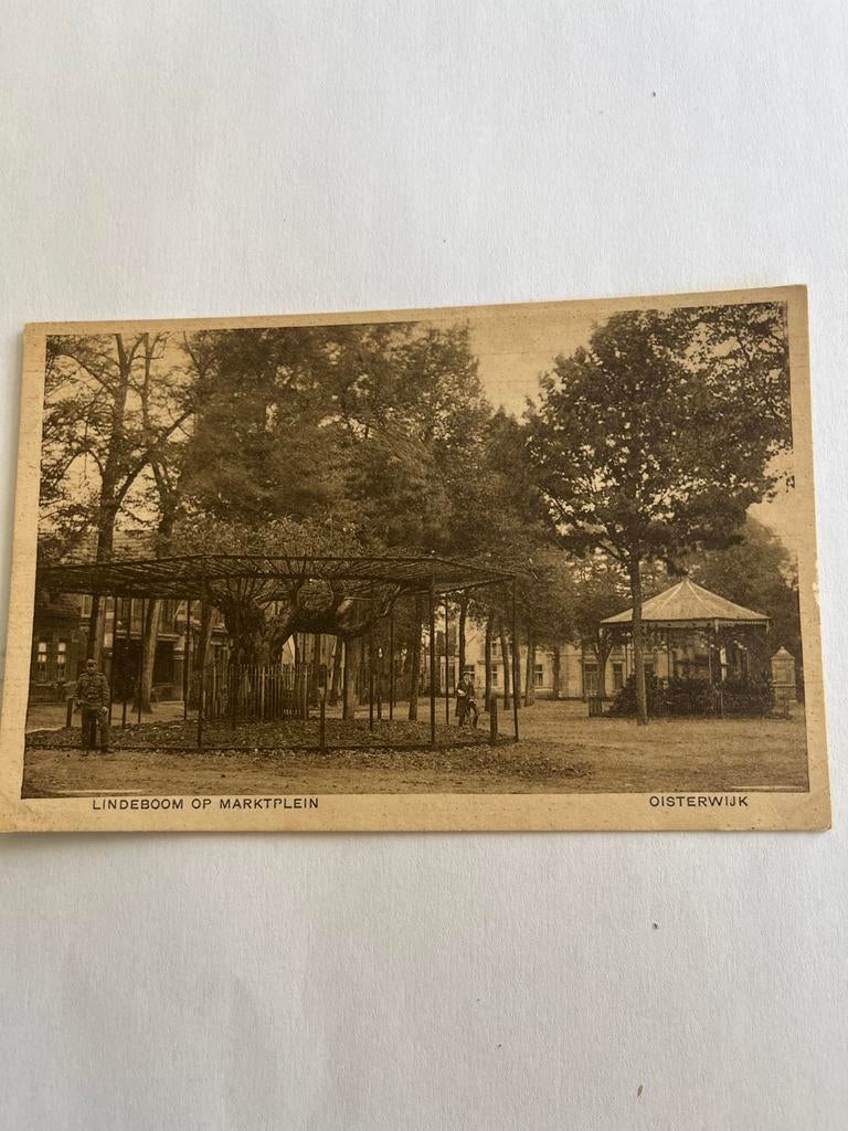 Ansichtkaart Oisterwijk - Lindeboom op Marktplein -, Ophalen of Verzenden, Ongelopen, Noord-Brabant