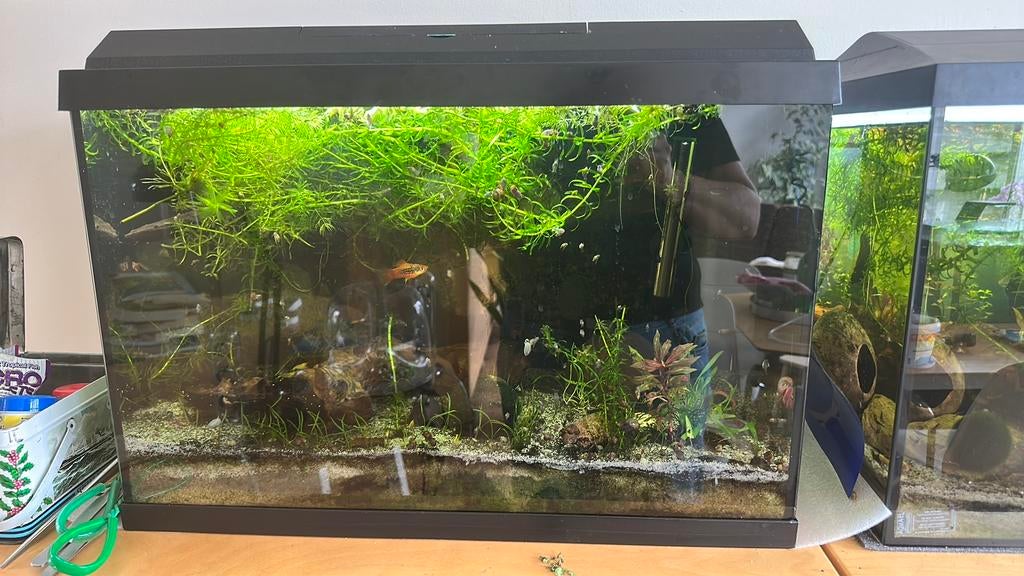 Juwel aquarium 60 cm breed, Ophalen, Zo goed als nieuw, Leeg aquarium