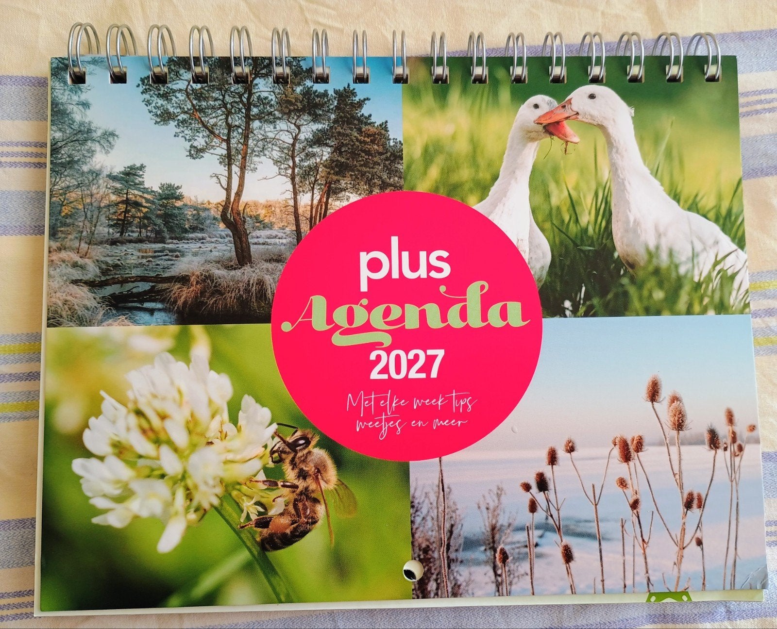 Agenda Plus 2027, Diversen, Ophalen of Verzenden, Nieuw