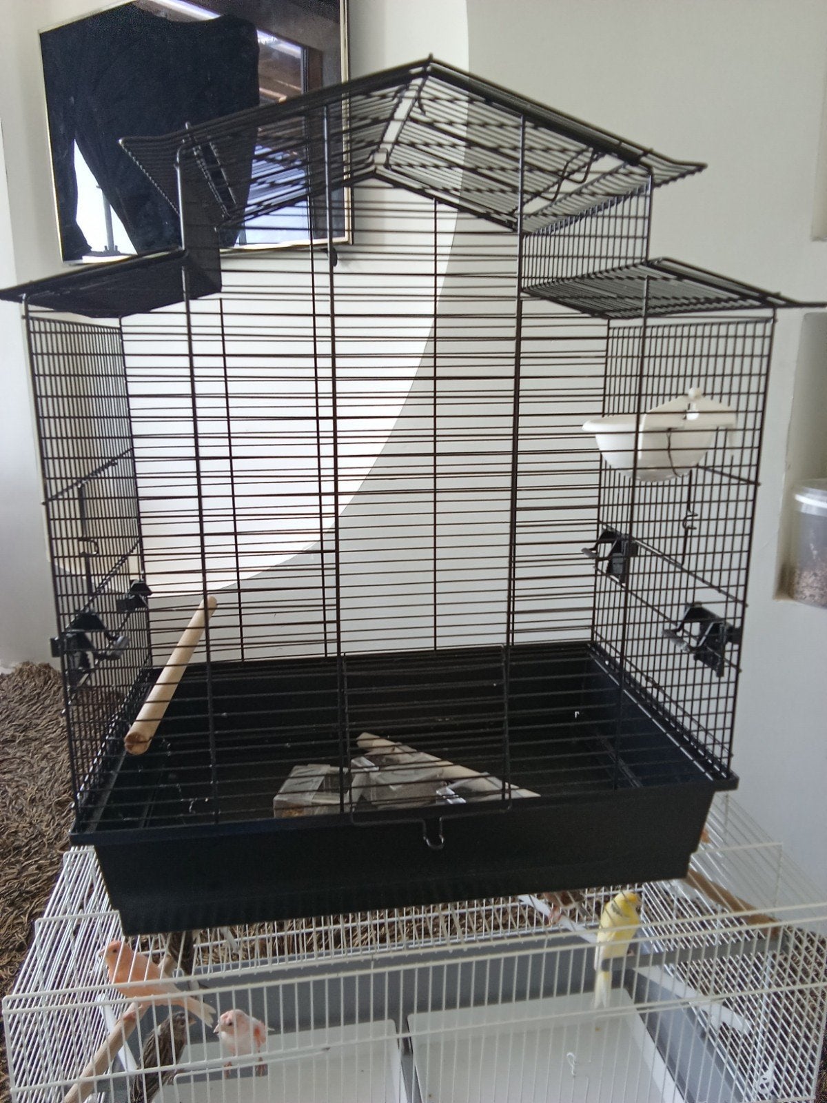 Kanaries en kooien te koop, alles in één keer, voor een aant, Dieren en Toebehoren, Vogels | Kanaries, Mannelijk