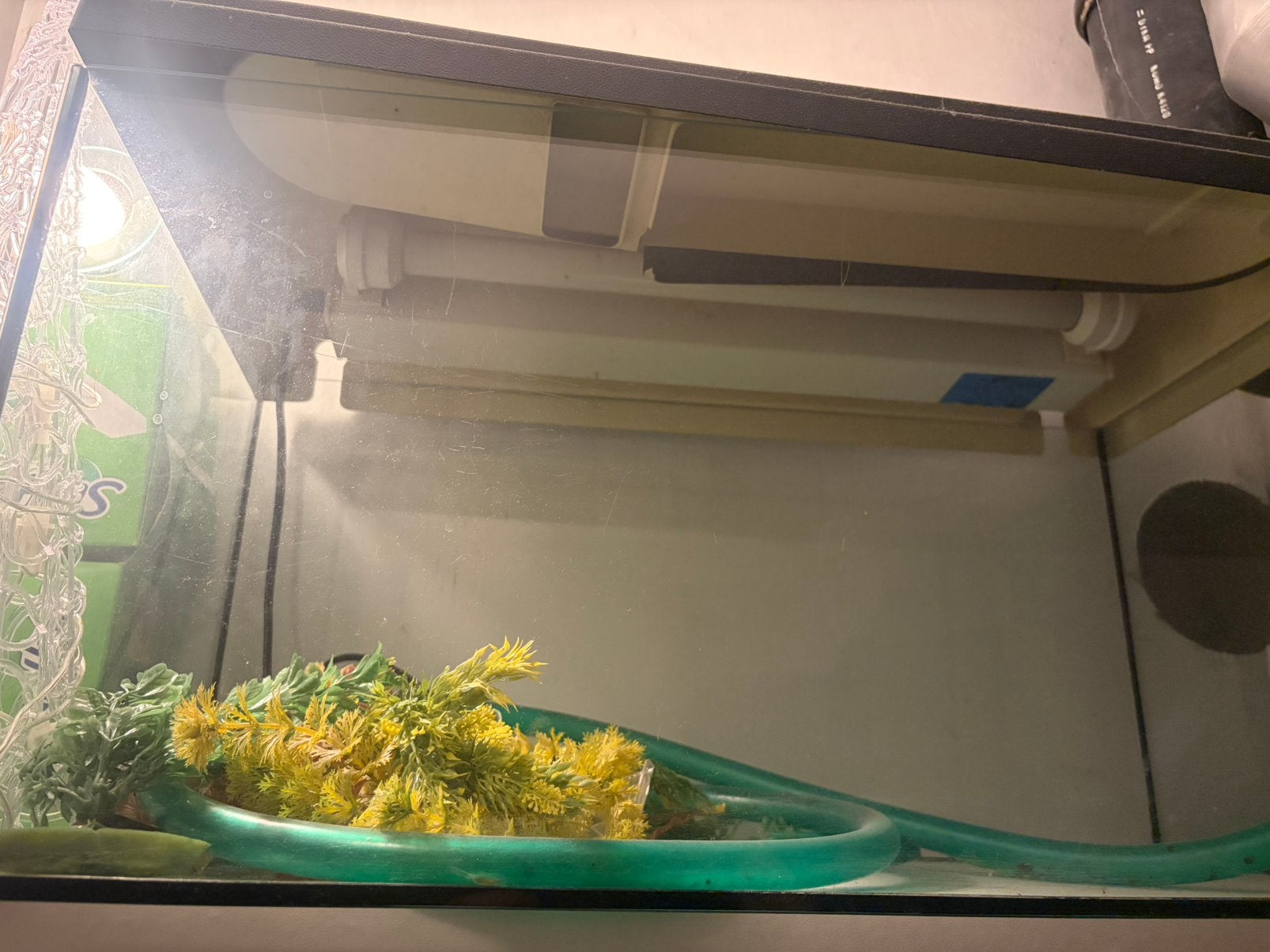 Aquarium, Ophalen, Inclusief deksel, Gebruikt, Leeg aquarium