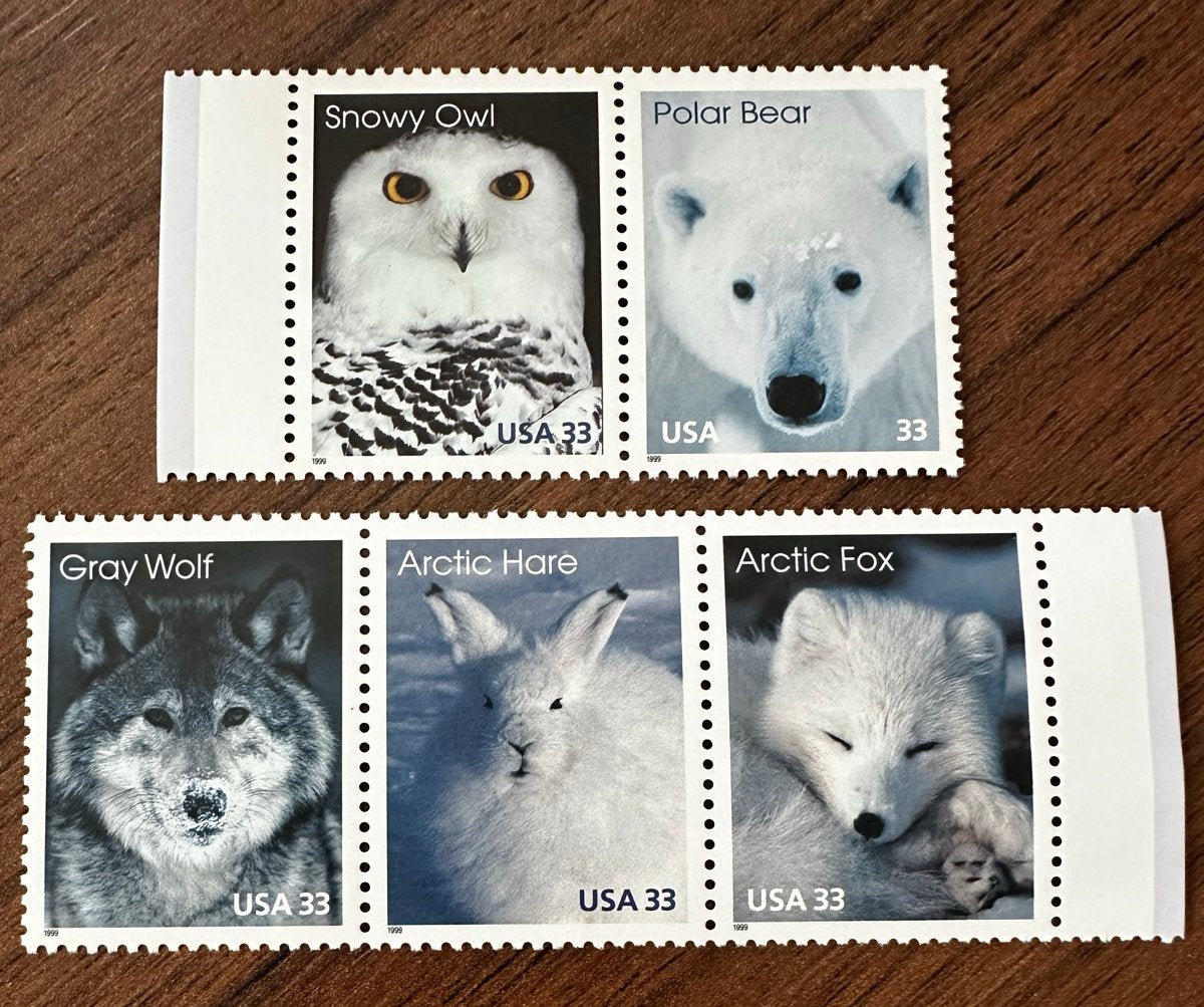 USA 1999 Postfris Pooldieren Vogels dieren Set, Ophalen of Verzenden, Postfris, Noord-Amerika