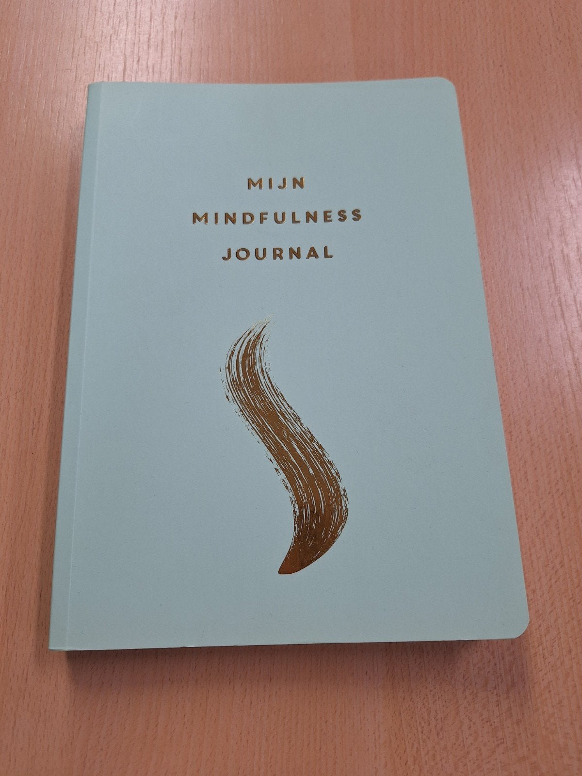 Mijn mindfulness journal, Marijke van der horst, Nieuw, Ophalen of Verzenden
