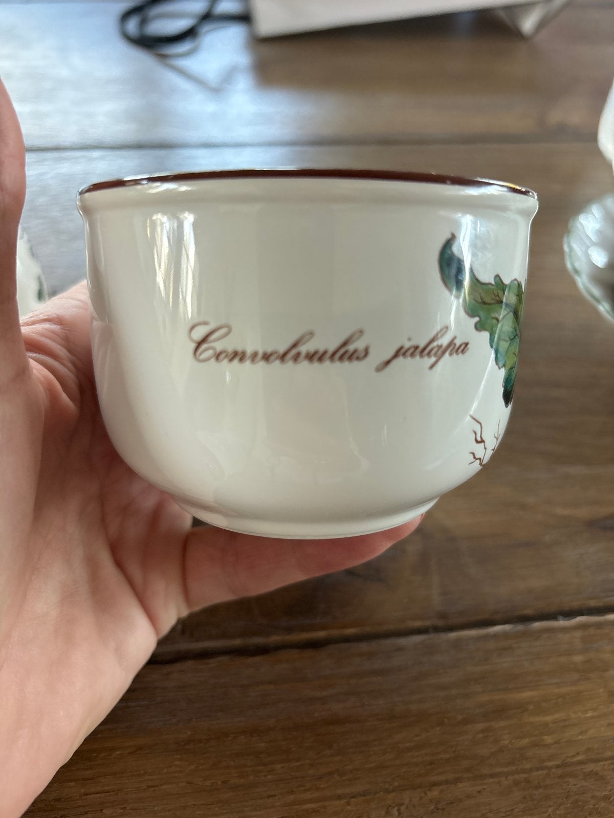 Villeroy & Boch Botanica Schaaltje - Convolvulus Jalapa, Gebruikt, Villeroy & Boch, Ophalen of Verzenden, Schaal of Schalen