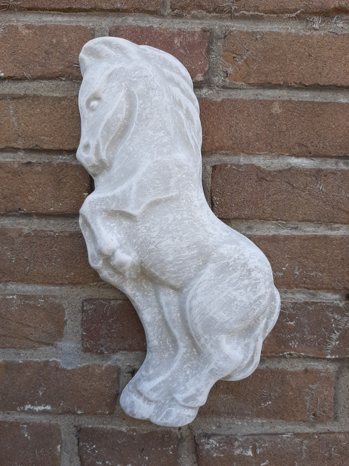 Veulen wanddecoratie betonnen beeld tuinbeeld beton, Ophalen of Verzenden
